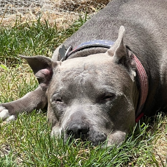 Meet your Posher, Tania - Picture 5 of 16